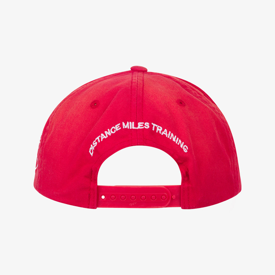 SAURI D.M.T. IN SALT WASH RED