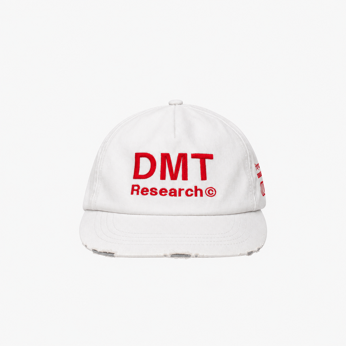 SAURI D.M.T. SNOWDEN